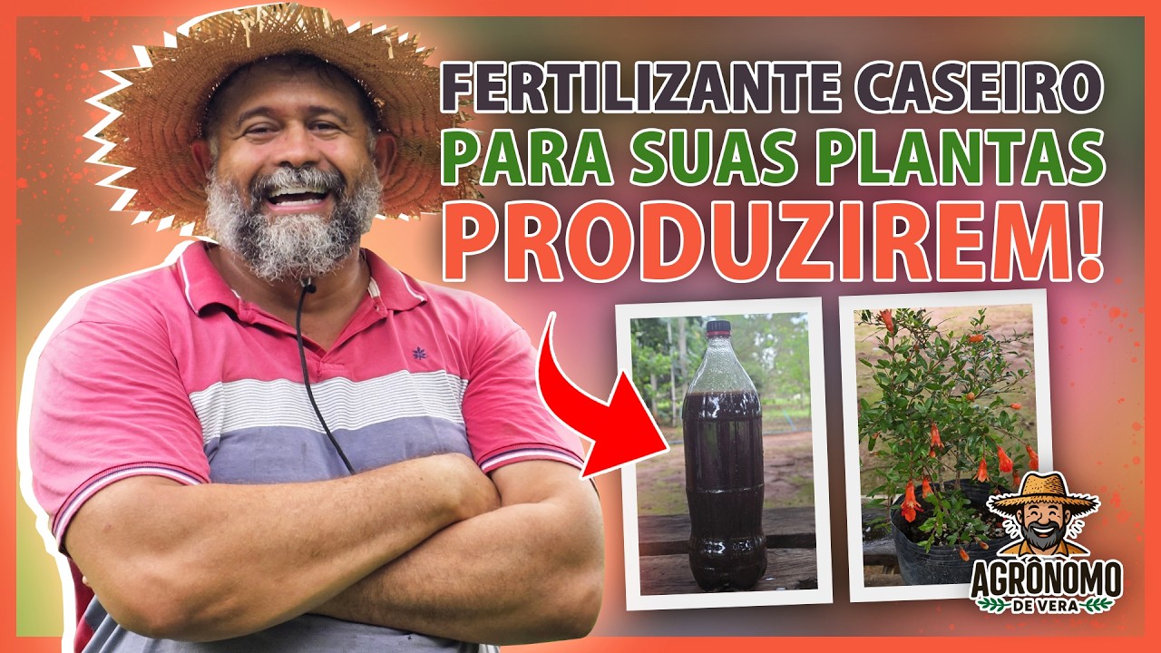 FERTILIZANTE potente com TRÊS ingredientes 