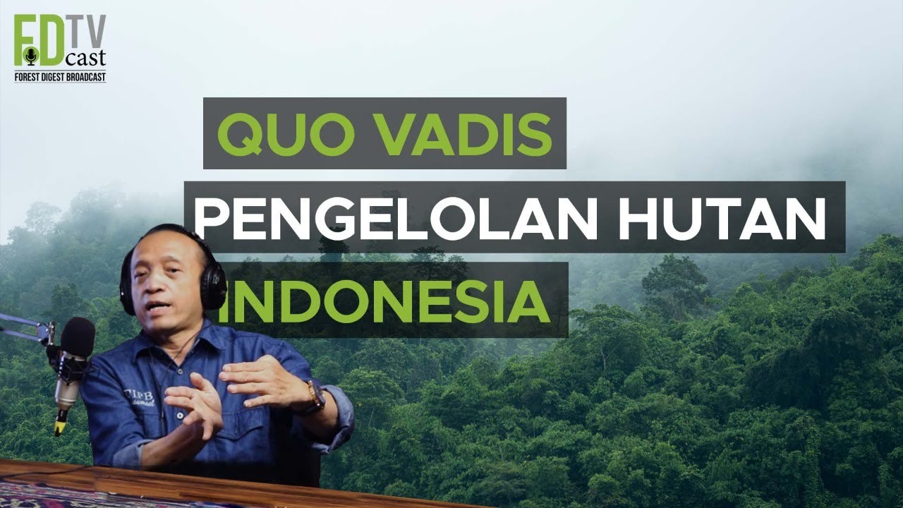 Quo Vadis Pengelolan Hutan Indonesia | FoDcast