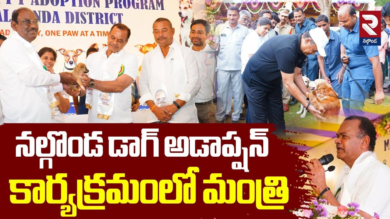 Minister Komatireddy Venkatareddy in Nalgonda Dog Adoption Program | RTV Nalgonda