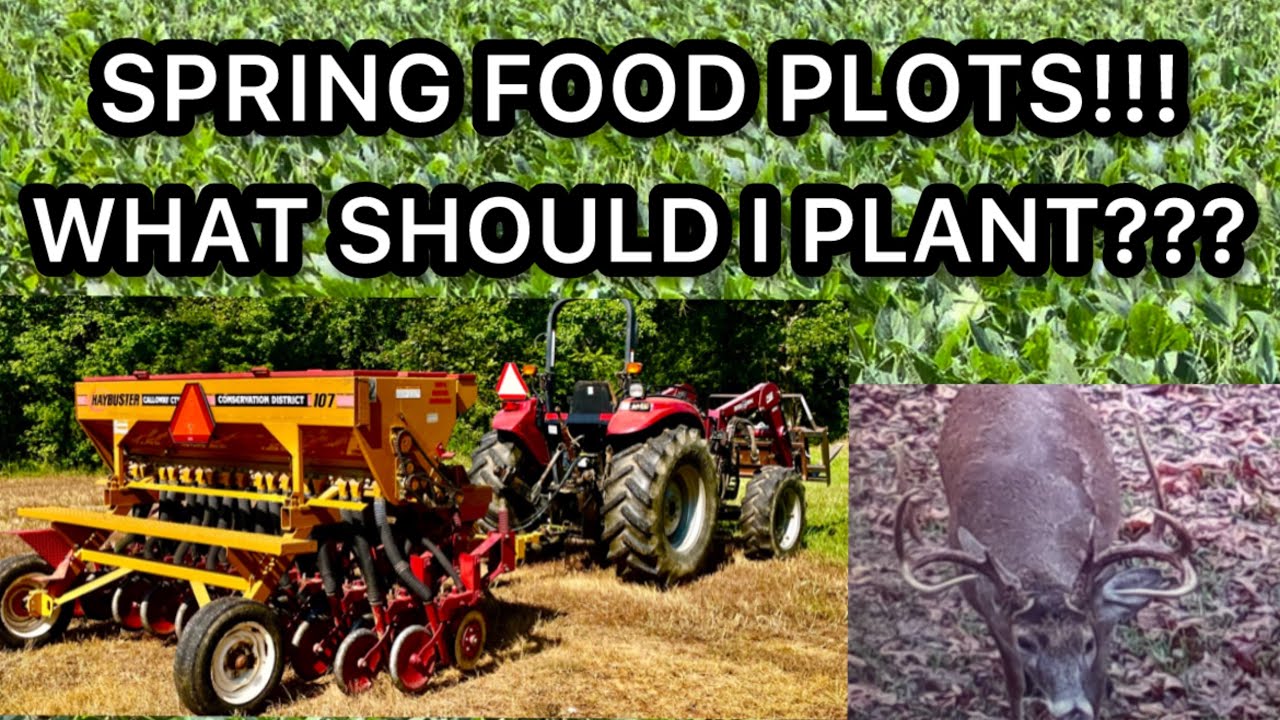 SPRING FOOD PLOTS: WHAT TO PLANT FOR THE BEST DEER HUNTING IN THE FALL!