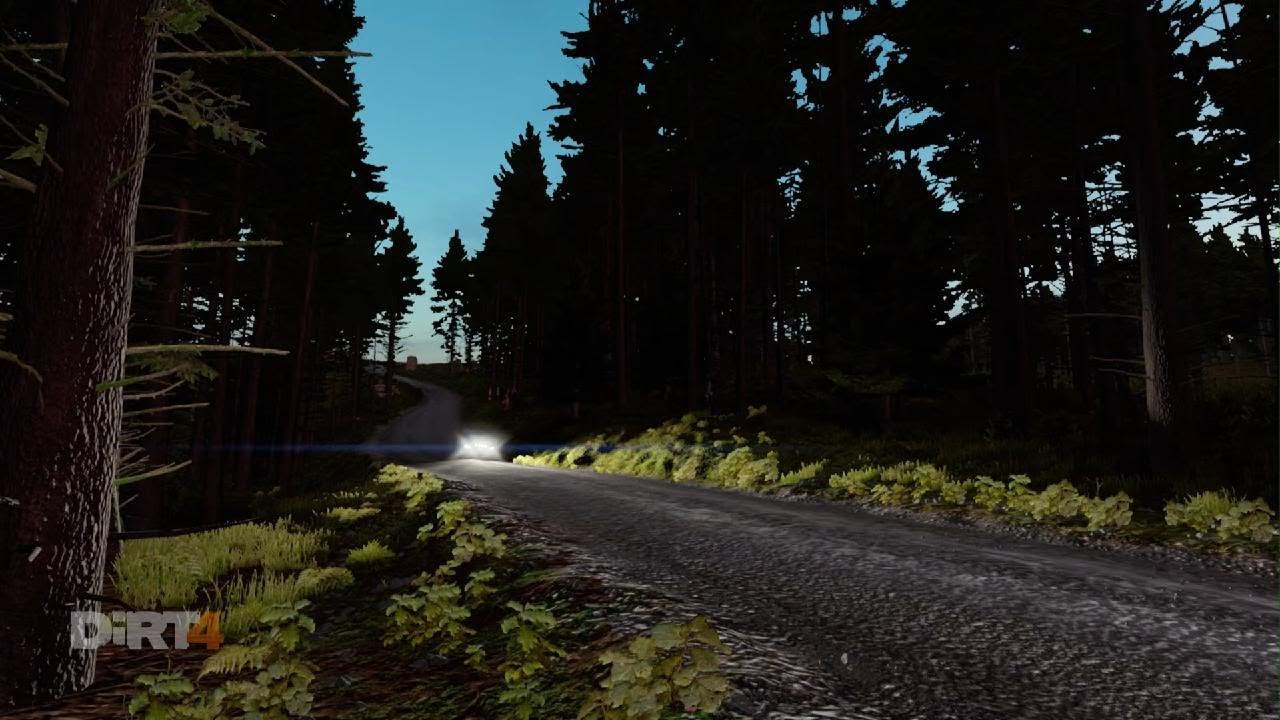 DiRT 4 night and trees