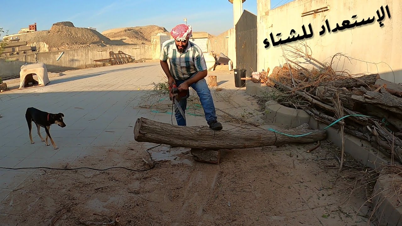 استعداد دار ابو خالد للشتاء حطب ومونه