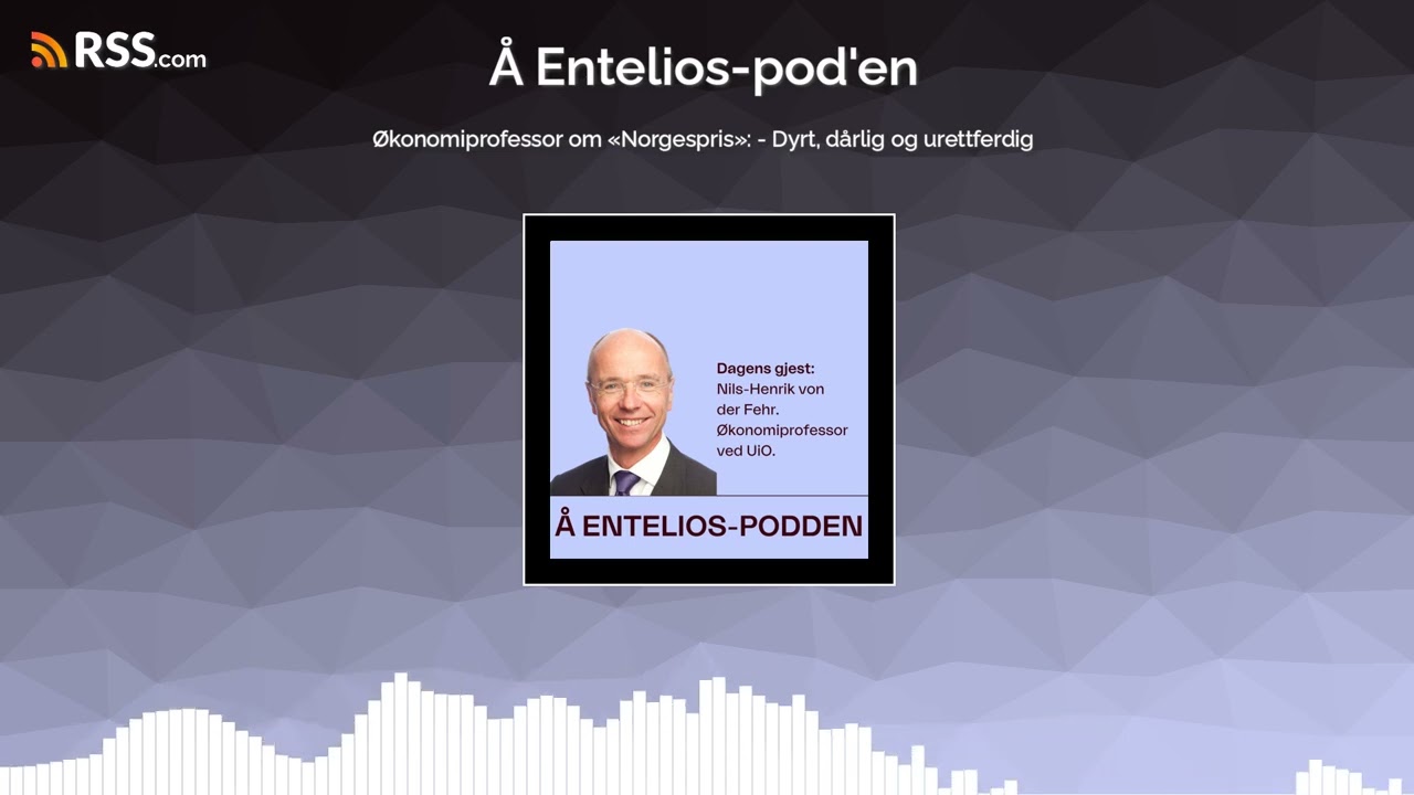 Økonomiprofessor om «Norgespris»: - Dyrt, dårlig og urettferdig