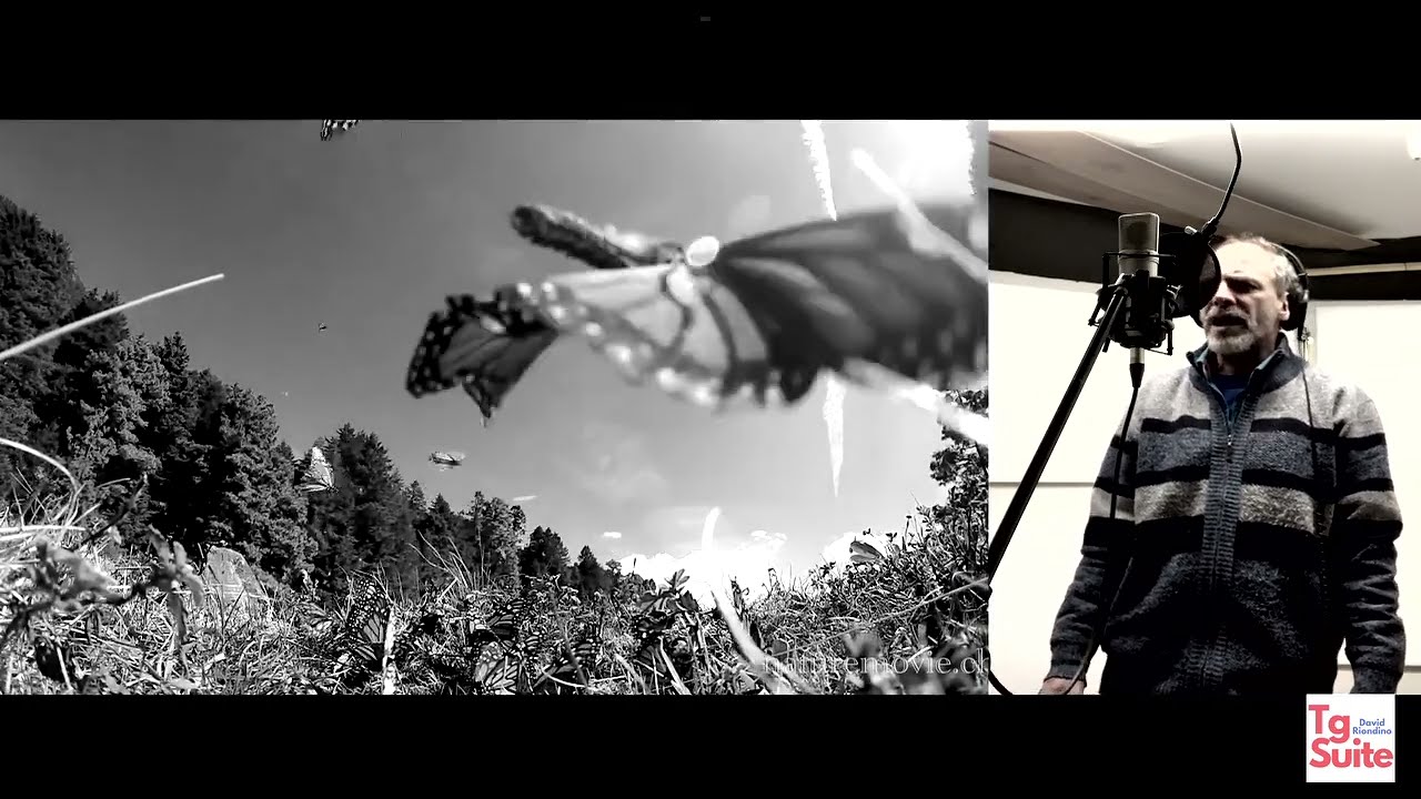 Maurizio Geri - Laura (TG Suite - La Cronaca Cantata)