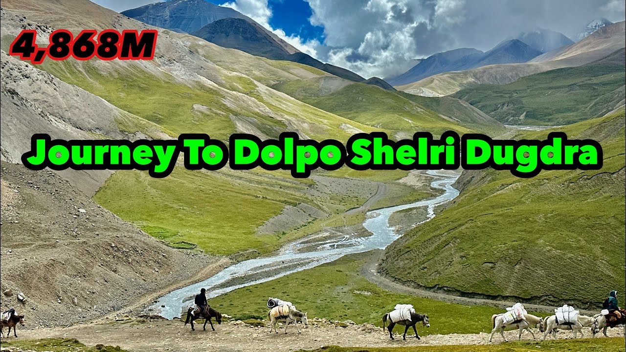 EP-3 / DOLPO ཤེལ་རི་འབྲུག་སྒྲ་ / Journey To The Crystal Mountain Dolpo Sheri Dugdra / 4,868M