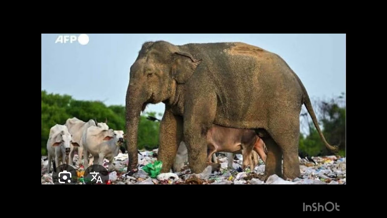Plastic plastic plastic
