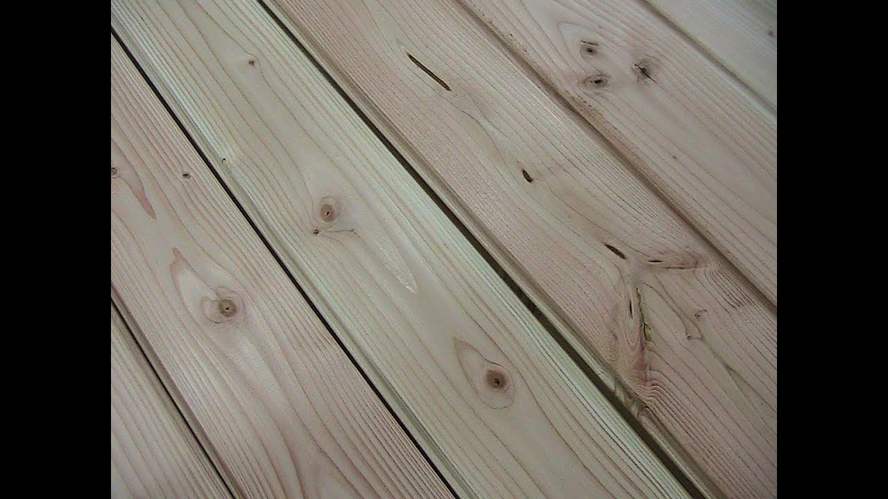Wood Identification 101 episode 2, douglas  fir & larch