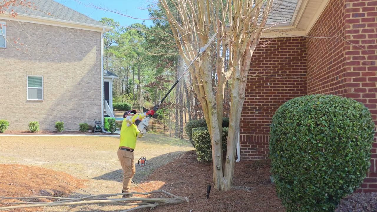 Total Transformation: Crapemyrtle Removal & Stump Grinder