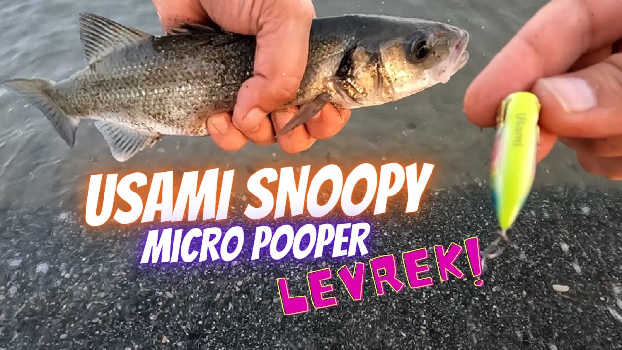 LEVREK AVI / FUJIN RAIJIN 0,4-5g / USAMI SNOOPY40f