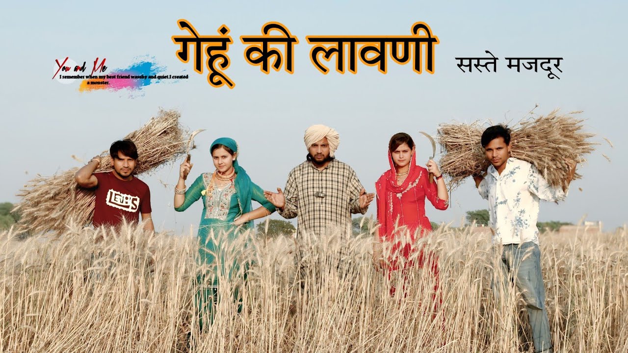 गेहूं की लावणी  @HAKKUSINGARIYA  // Safiq Singariya