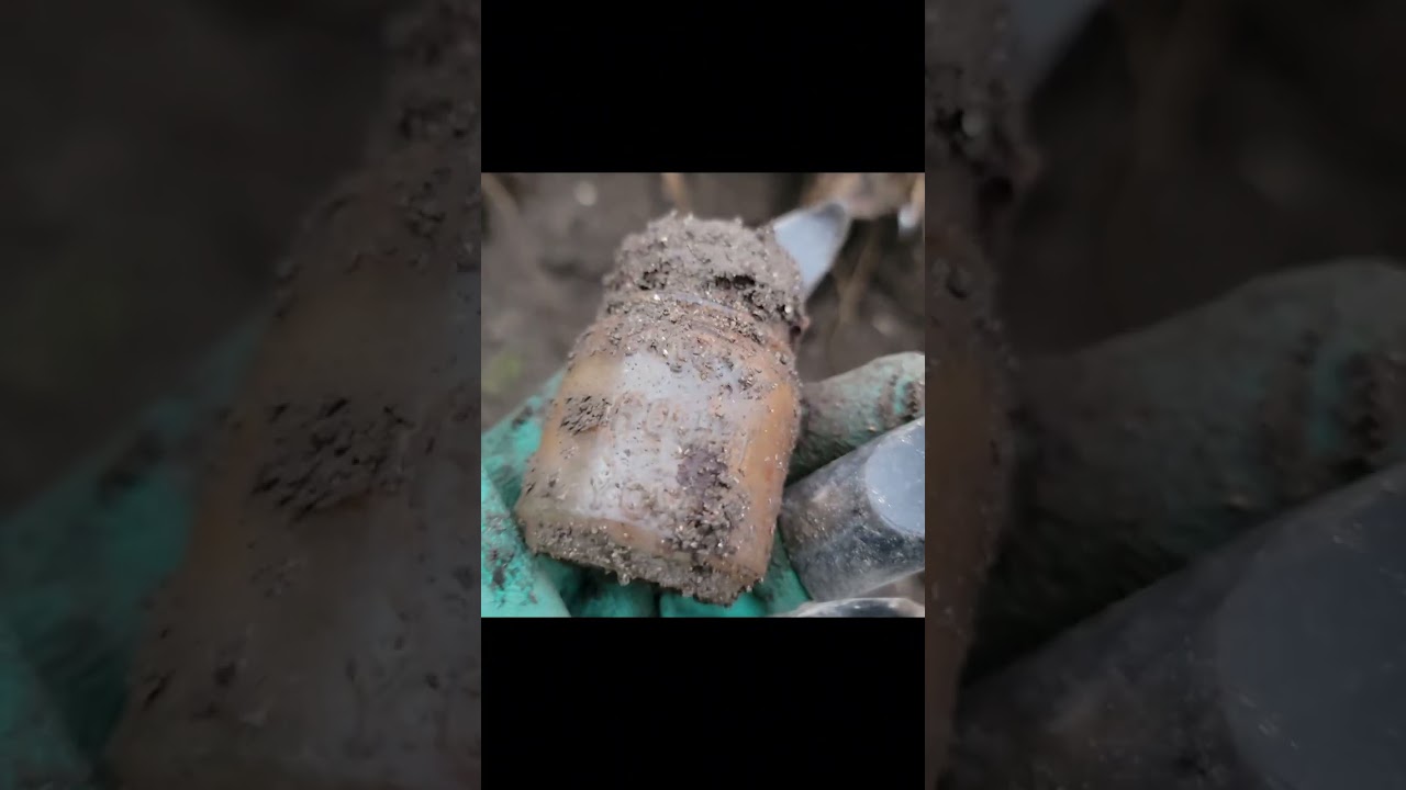Digging for bottles in SW Michigan