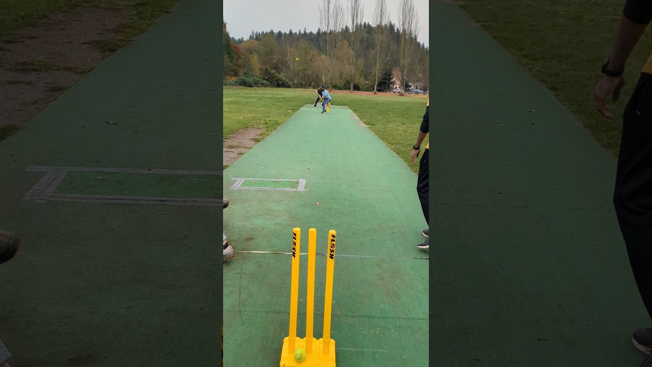 Saravanan's long innings from the recent match! #cricket #lastsamurais #arcl #cricketbattingshots