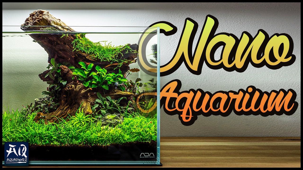 Nano Aquarium einrichten Schritt für Schritt | AquaOwner