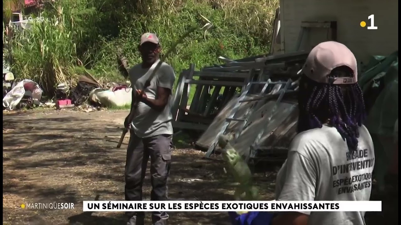 Séminaire  « Les espèces exotiques envahissantes (EEE) Retour en images JT de 19H M1ere