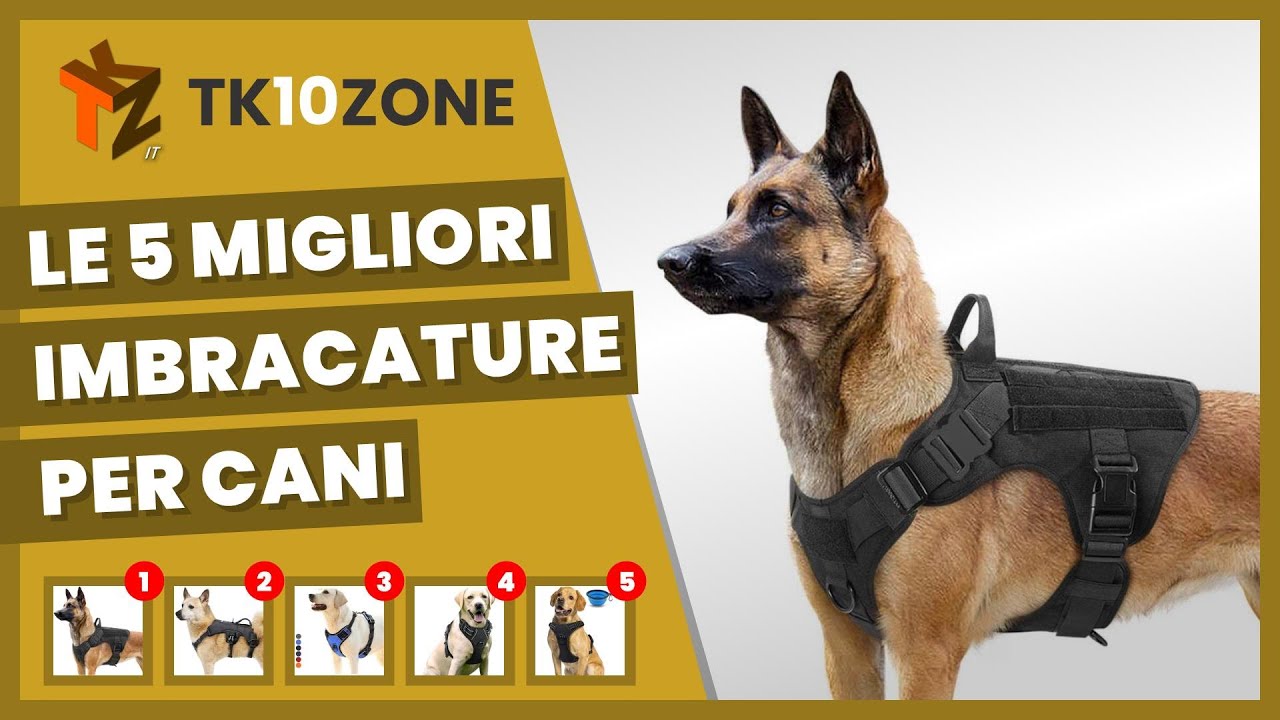 Le 5 migliori imbracature per cani