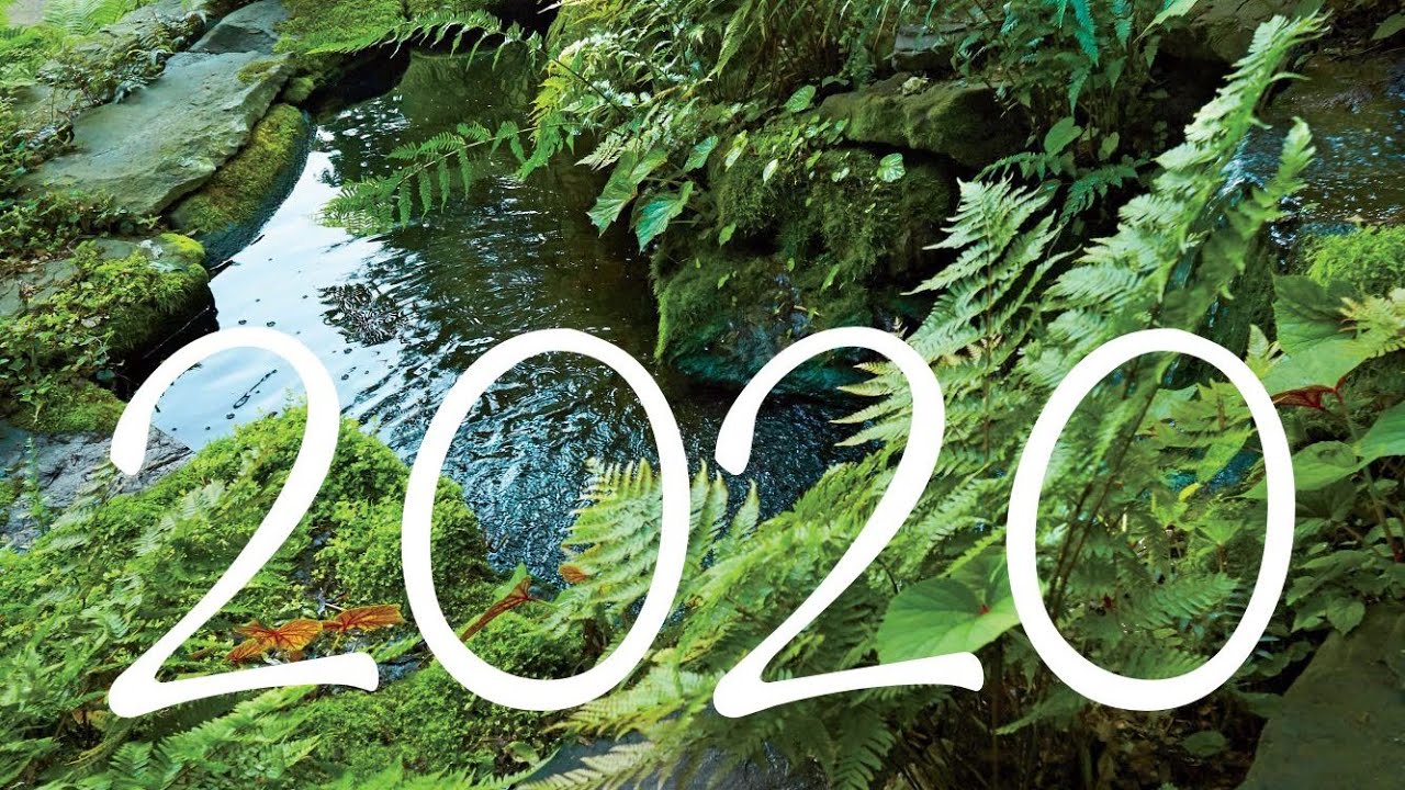 Самые яркие ароматы 2020 года! 🎊