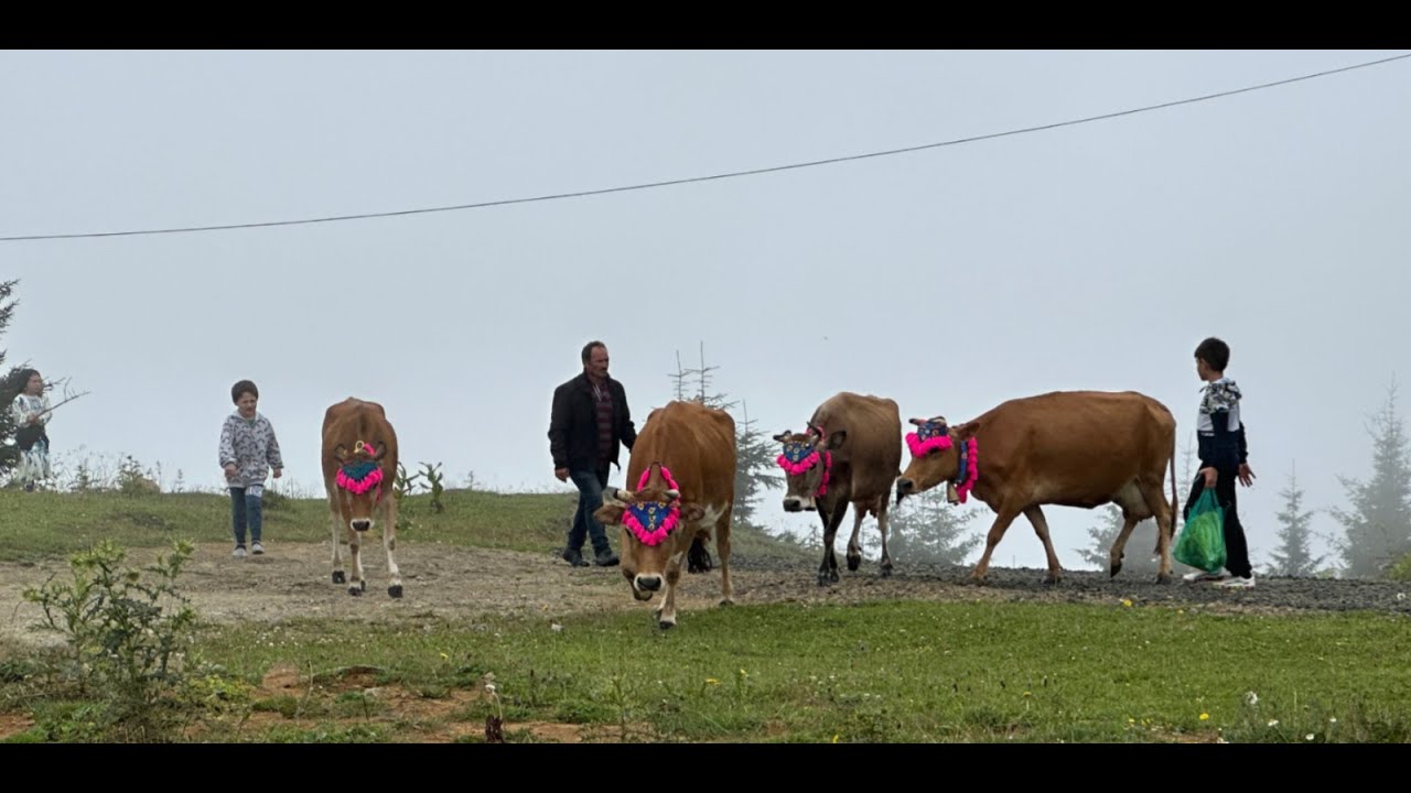 Akpınar Büyükoba Göç Festivali | Yayla Göçü Canlandırması