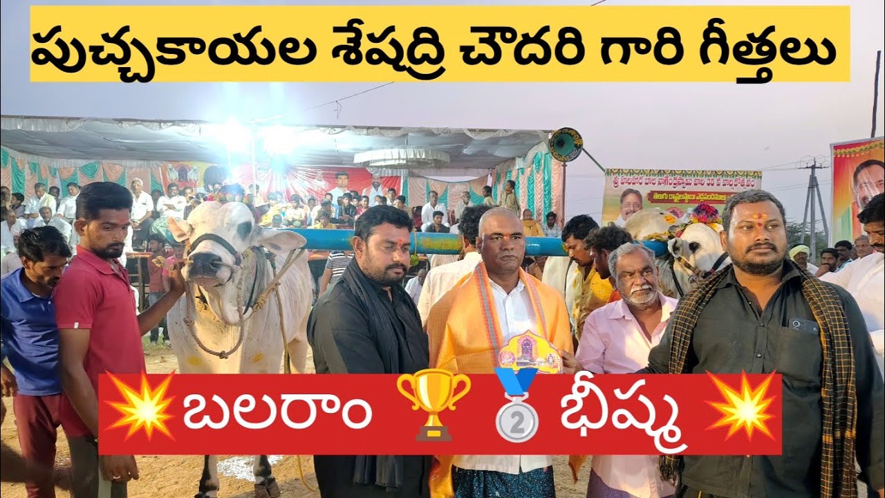 ధర్మవరం లో న్యూ కేటగిరి💥భీష్మ💥బలరాం💥🏆🥈PSK&PSC Bull'S 
