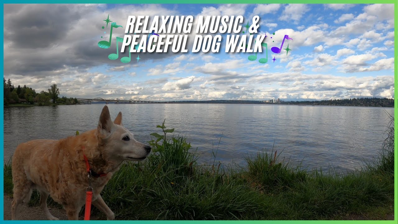 Mount Baker Park & Beautiful Neighborhood - Relaxing Music & Peaceful Nature Dog Walk