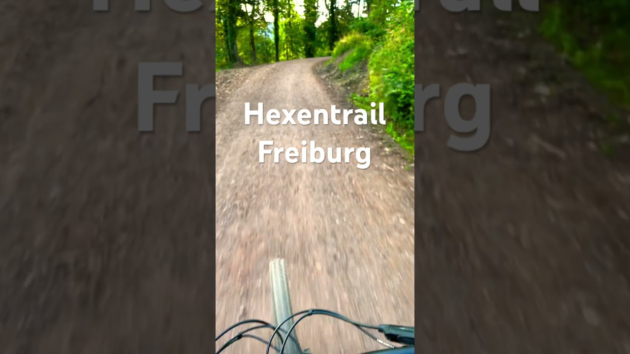 Hexentrail Freiburg Uphill