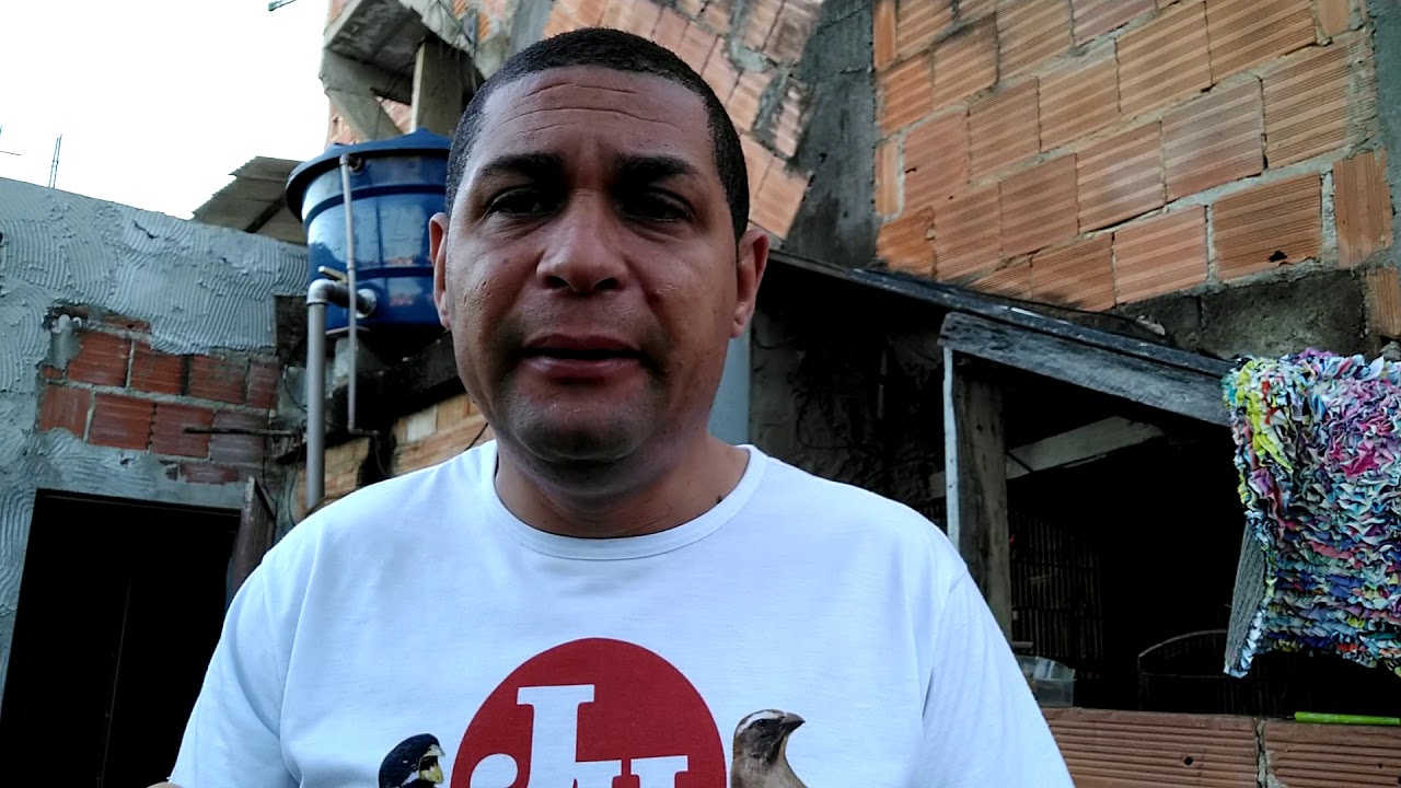 Como acabar com a muda encroada