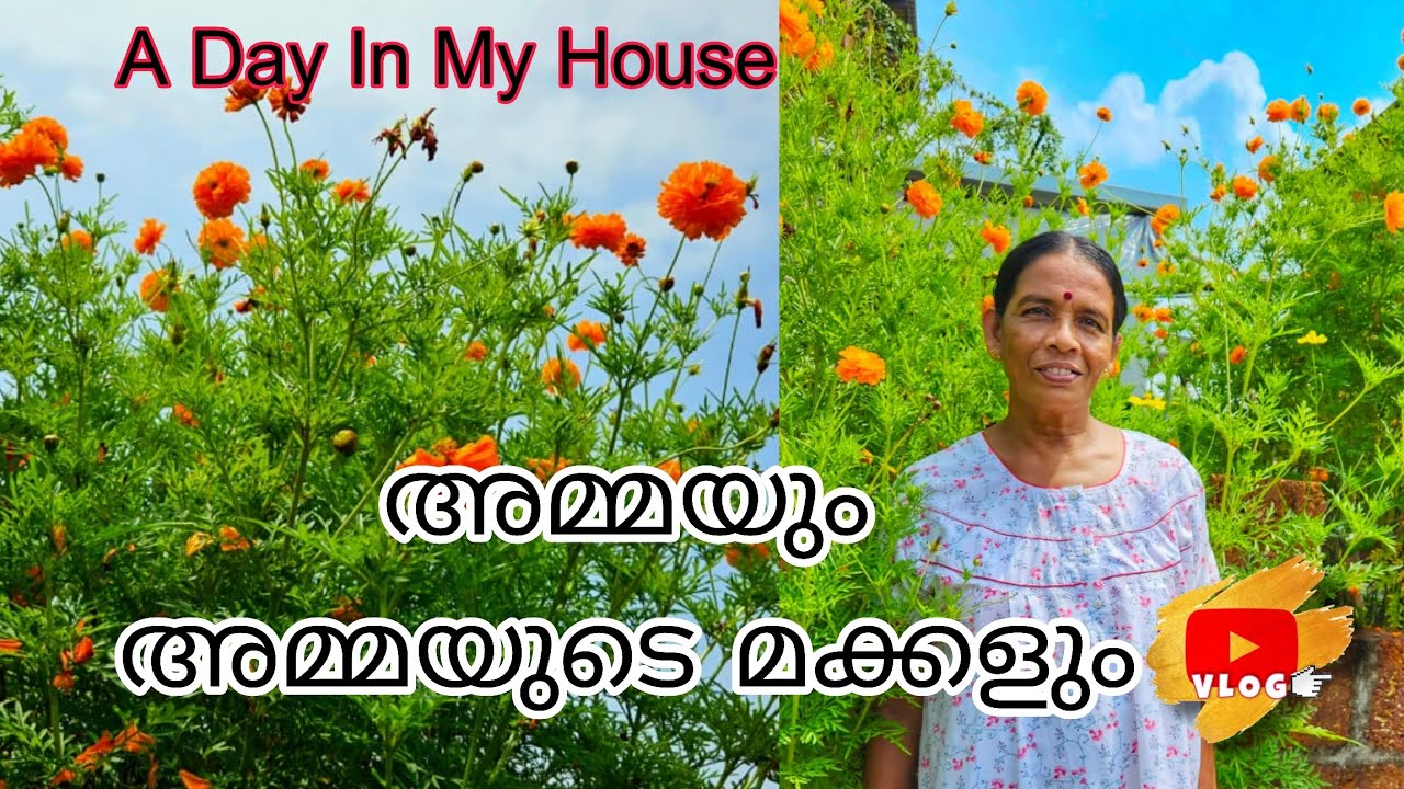 എന്റെ വീട് | My Garden Tour | Varieties Of Plants #hometour #vlog #gardening 