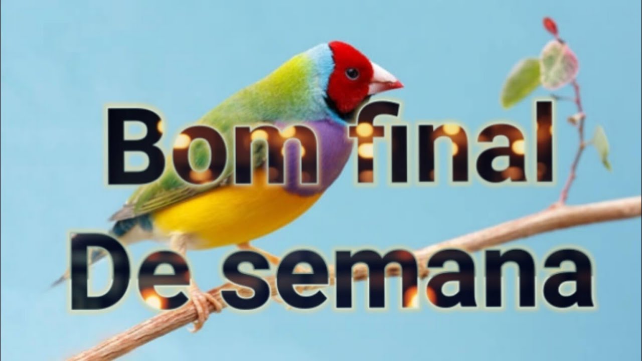 BOM FINAL DE SEMANA- &oacute;timo fim de semana