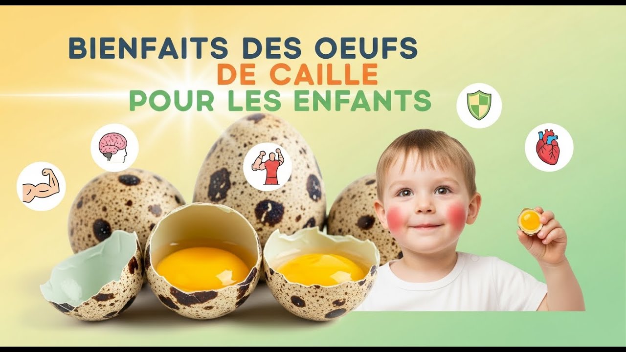 BIENFAITS DES ŒUFS DE CAILLE POUR LES ENFANTS