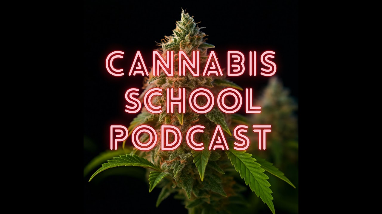 Villain vs. Hero: The Cannabis School Showdown