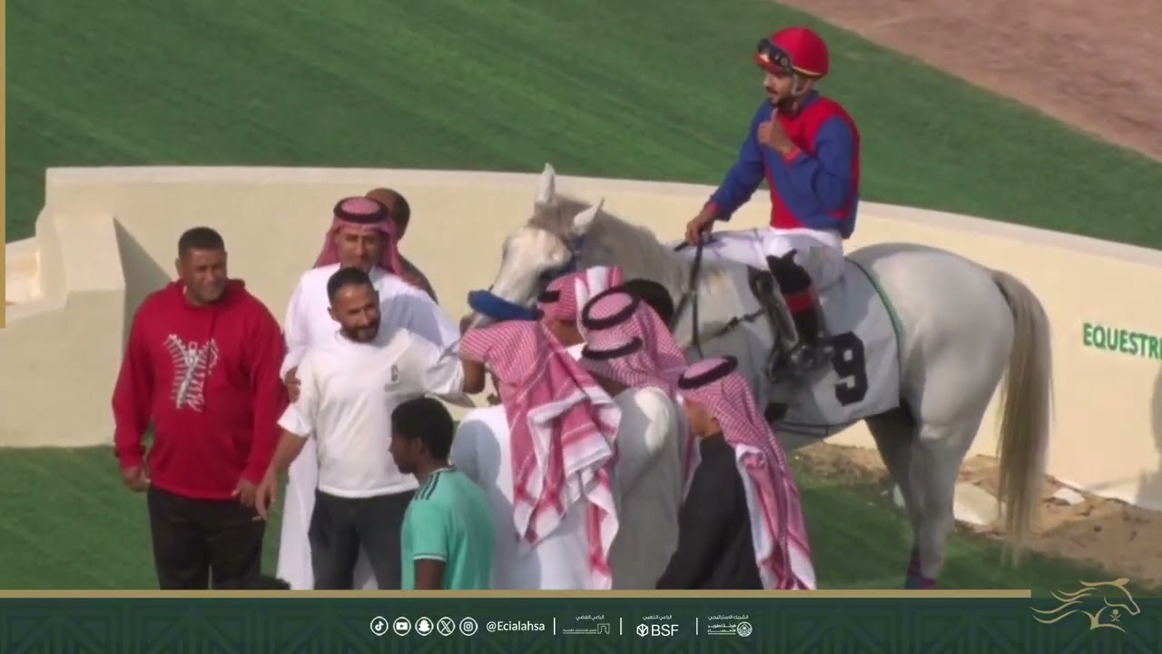أشواط الحفل السابع لميدام فروسية الأحساء الموسم 1447 هـ