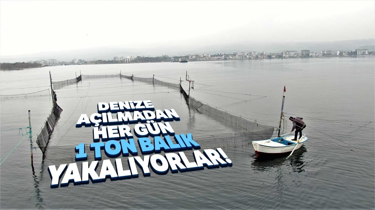 Binlerce Yıllık Yöntemle Günde 1 Ton Balık Yakalıyorlar
