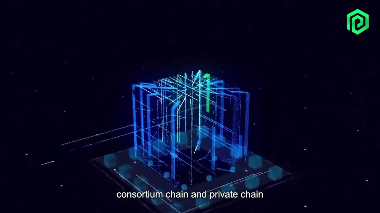 In two minutes, PlugChain will teach you what is a public chain?