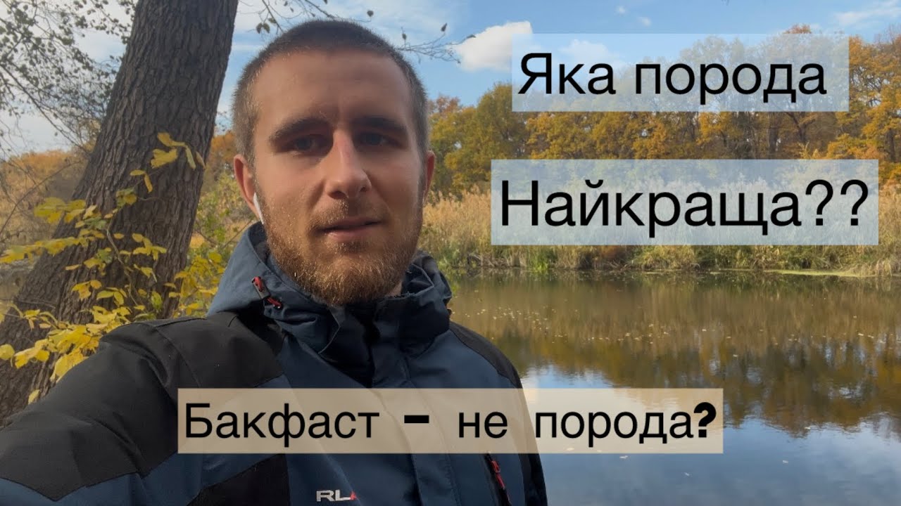 Чому Бакфаст? Порода БДЖІЛ на ПАСІЦІ 🐝
