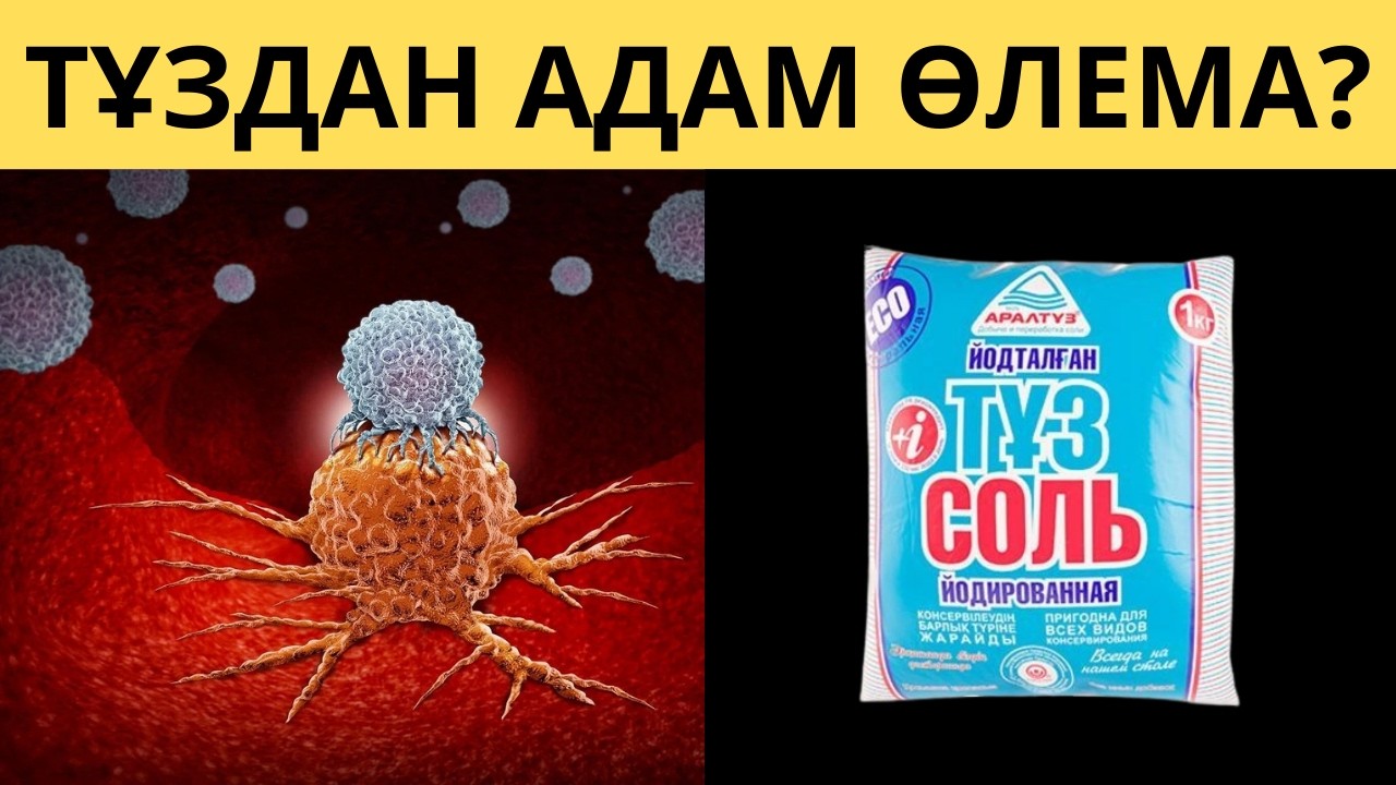 Узақ өмір сүргіңіз келсе ТАМАҚТЫ жақсылап ТҰЗДАҢЫЗ