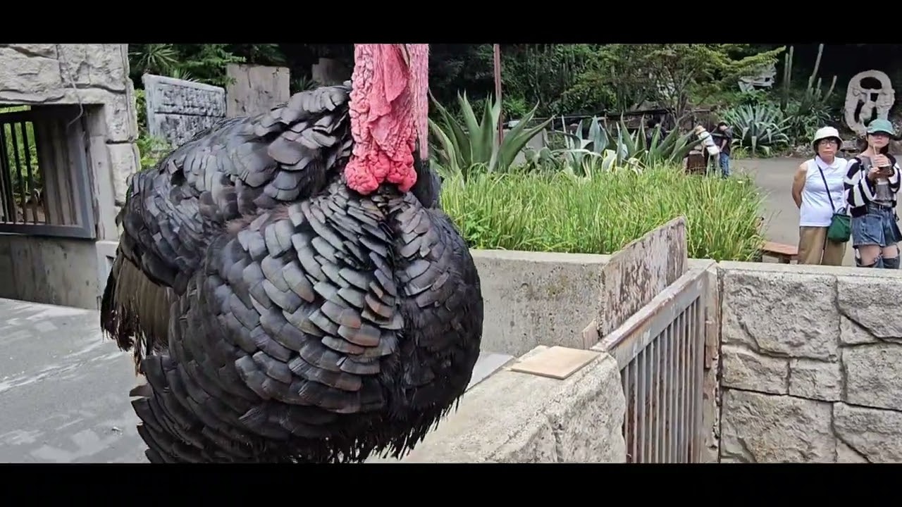しゃぼてん公園