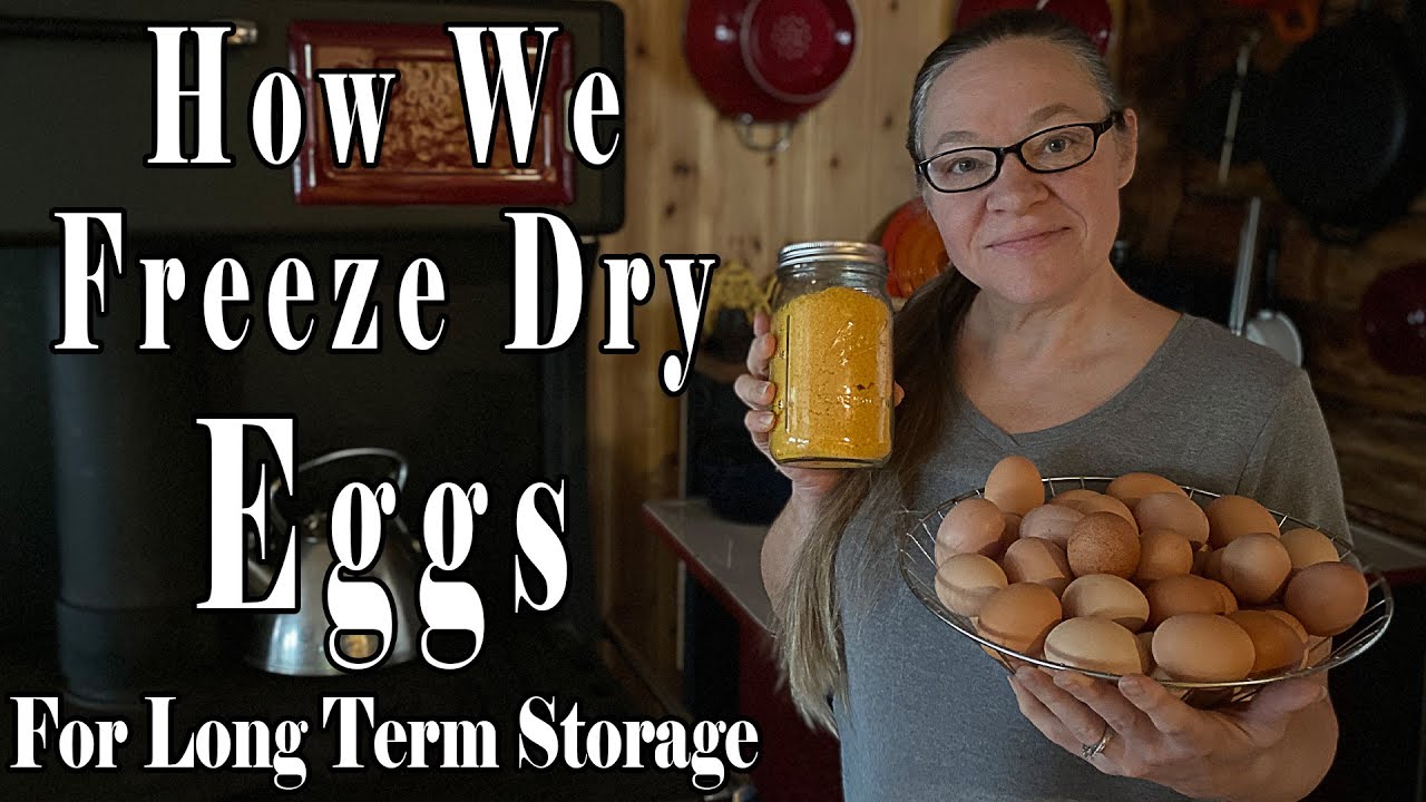 How We Freeze Dry Eggs For Long Term Storage