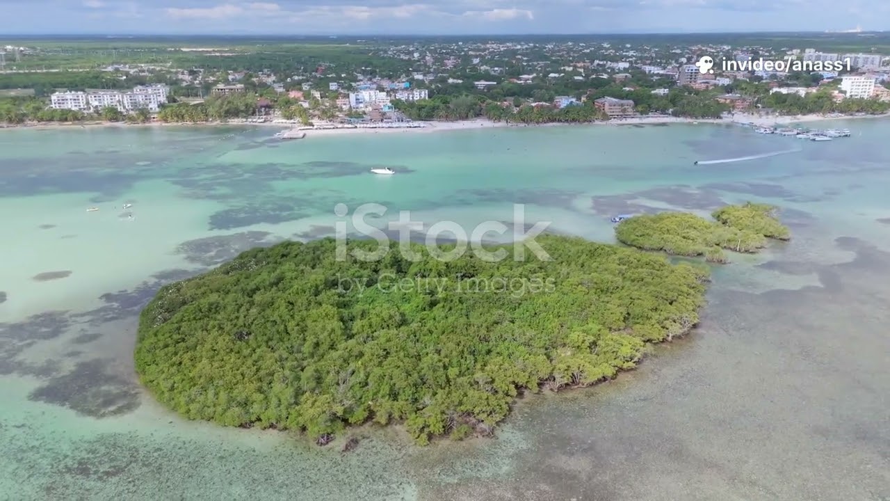 La Mer des Cara&iuml;bes   Plus qu&rsquo;un paradis