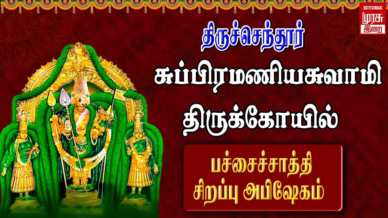 🔴Live - திருச்செந்தூர் ஸ்ரீ சுப்பிரமணிய சுவாமி ஆலய மாசித்திருவிழா பச்சைச்சாத்தி சிறப்பு அபிஷேகம்