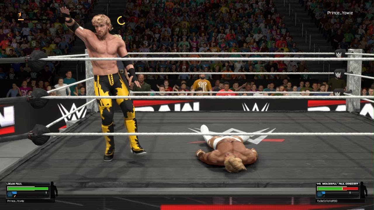 Logan Paul vs Mr. Wonderful WWA