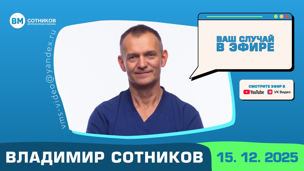 Ваш случай в эфире. Выпуск от 15.12.2025