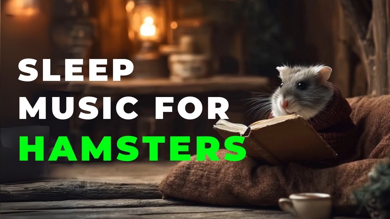 Hamster Sleeping Music: Calming Soothing Sounds to Relax Your Hamster #hamstermusic