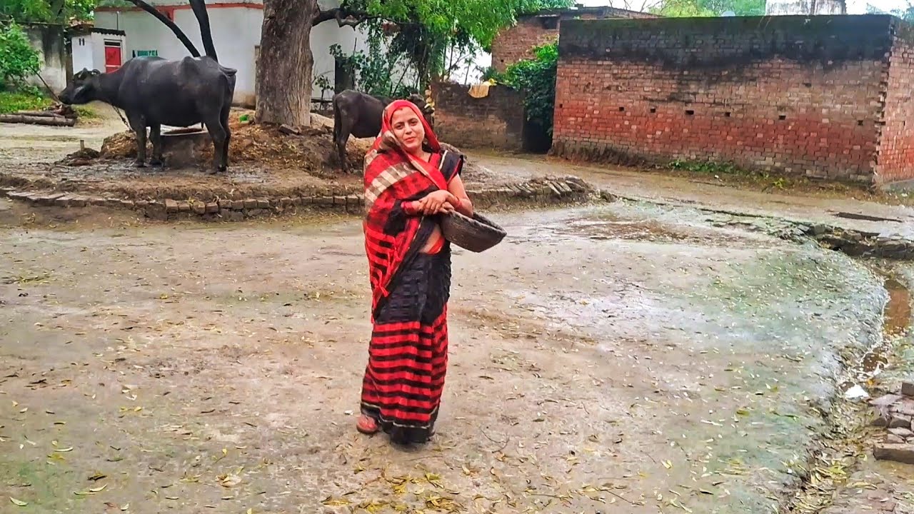 🌧️ आज हमारे गाँव में बहुत ज्यादा बारिश हुई | Village Life Vlog | गाँव की ज़िंदगी और बारिश का मज़ा