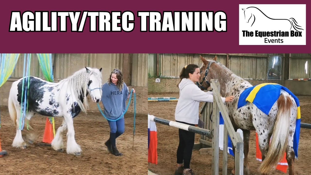 HORSE AGILITY / TREC TRAINING DAY WITH THE EQUESTRIAN BOX