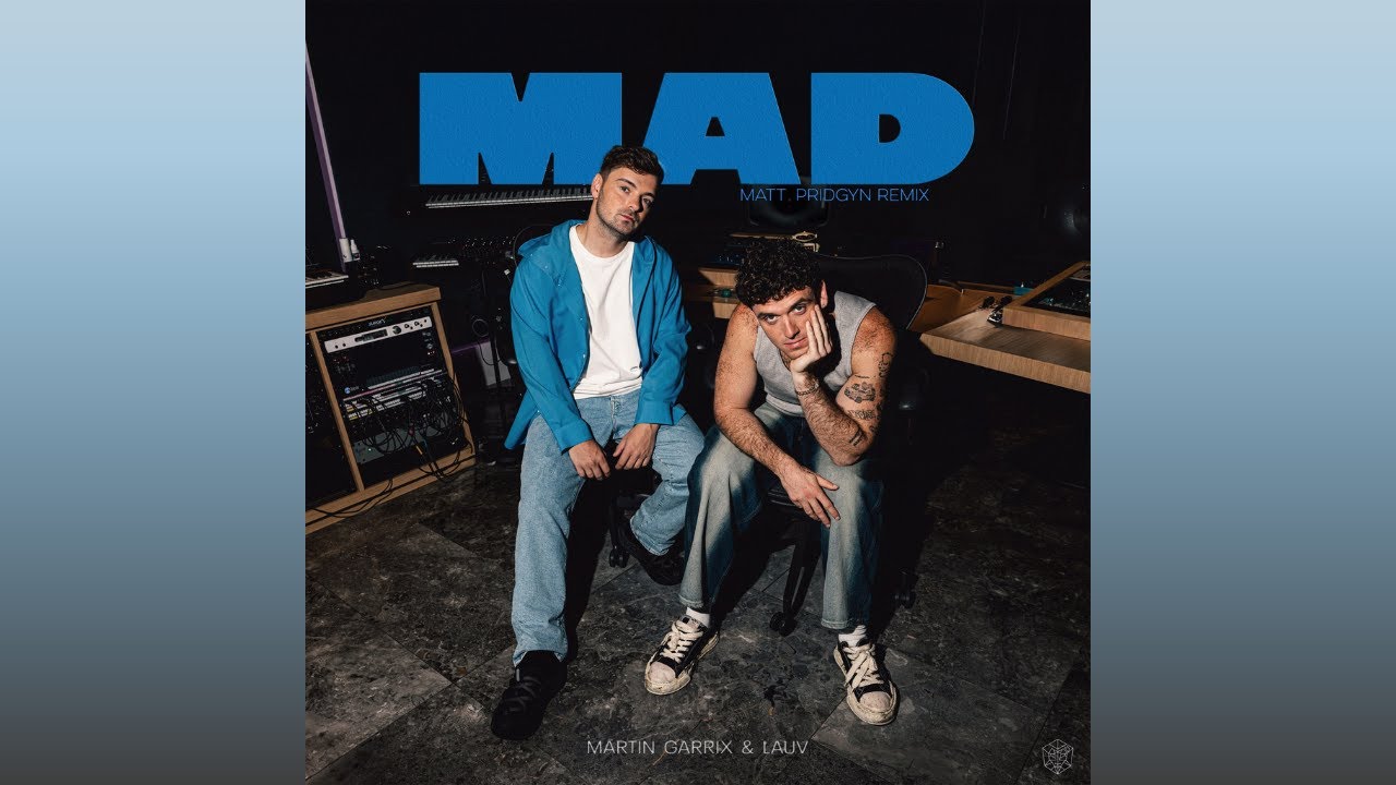 Martin Garrix & Lauv - MAD (Matt Pridgyn Extended Remix)