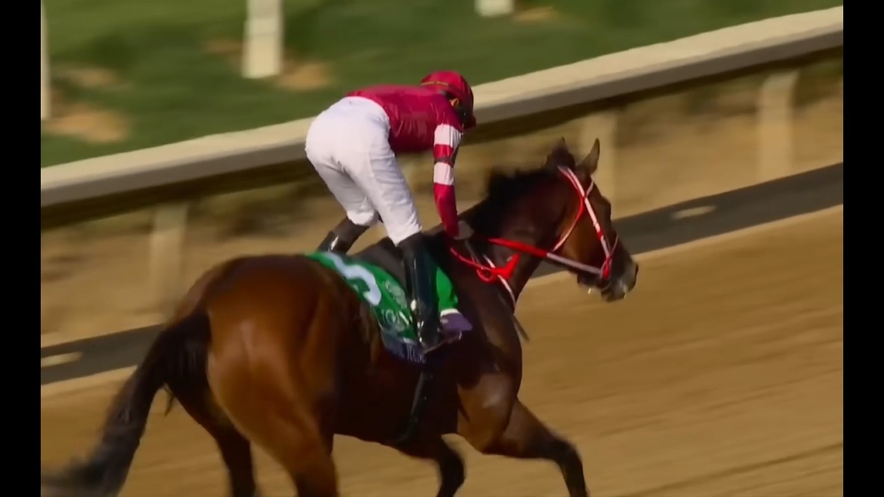 Forever Young Eclipses the competition