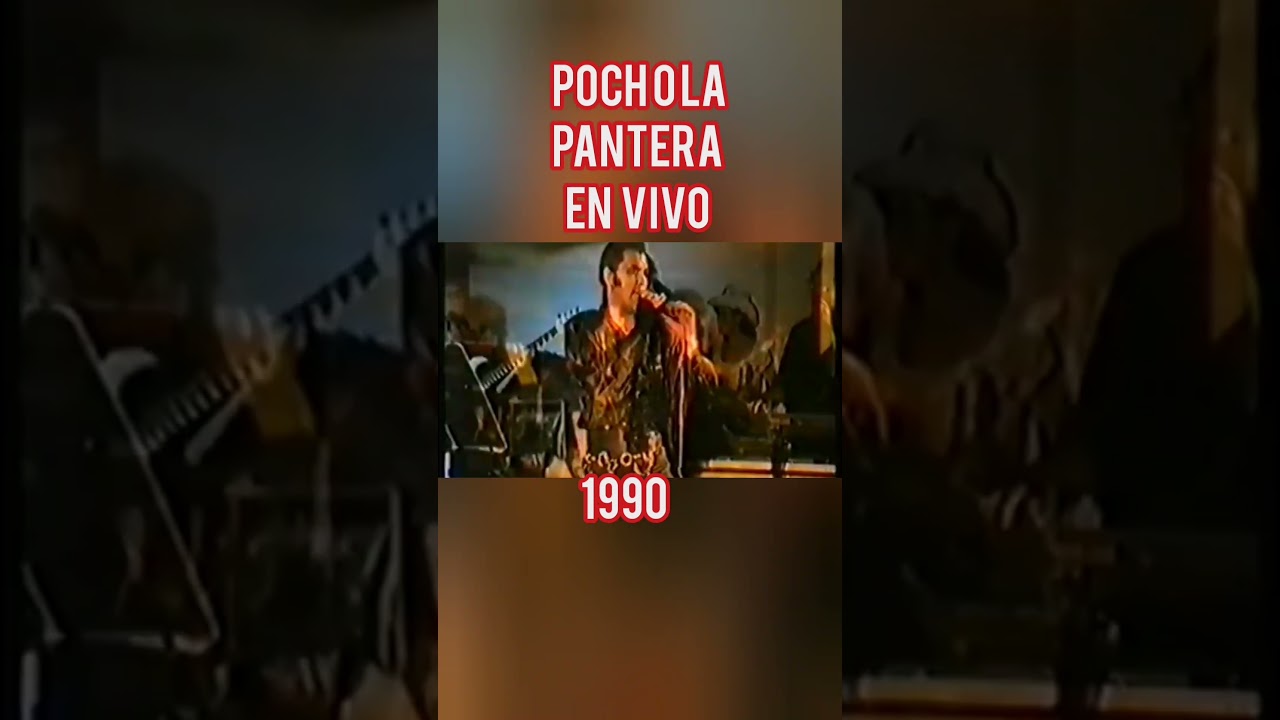 POCHO LA PANTERA 