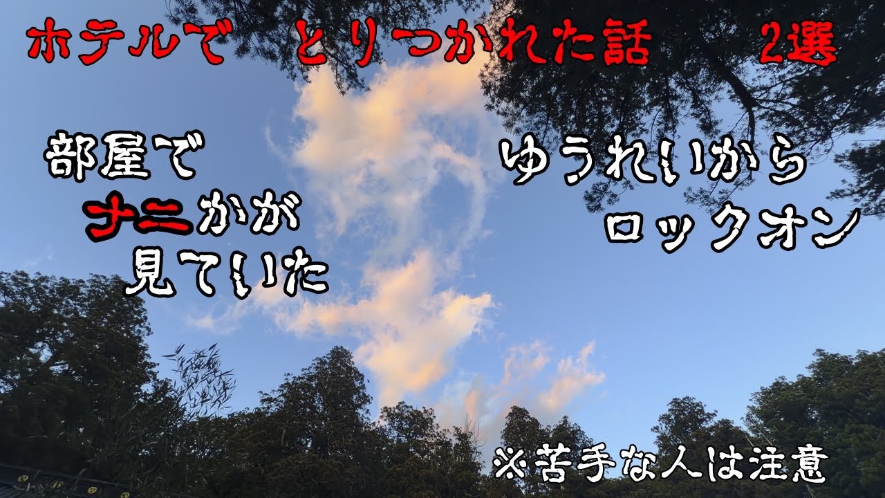 【日光二荒山神社でまさかの展開】 鬼怒川のホテルで取り憑かれた夜【ムサコ旅】