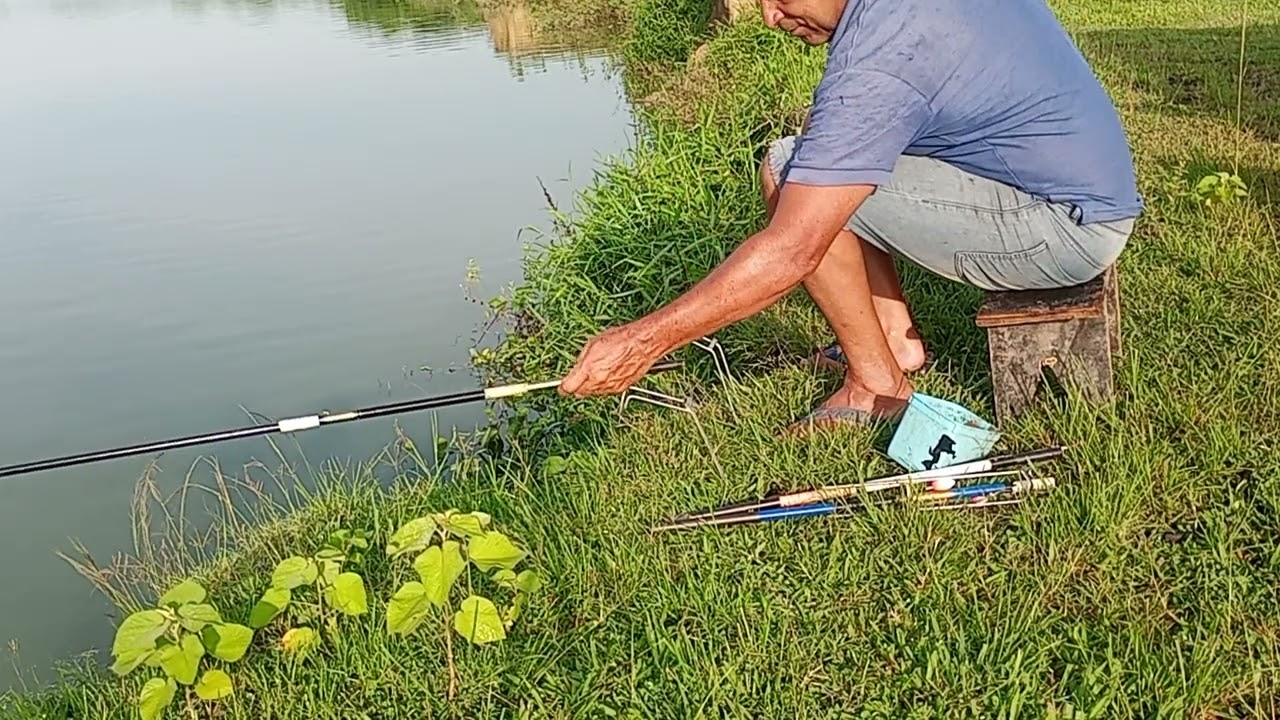 Hoje não saiu peixe 