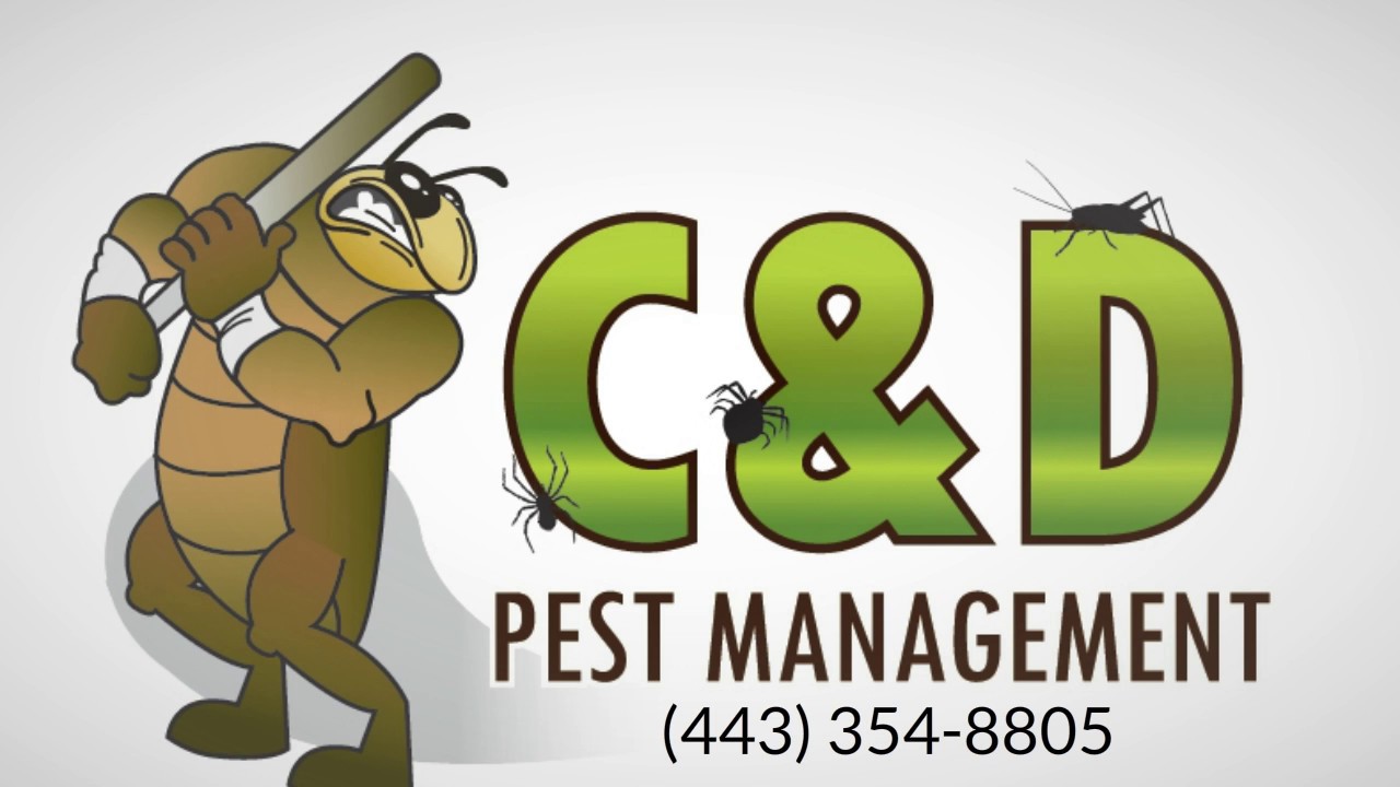 Pest Control Services Olney MD (443) 354-8805