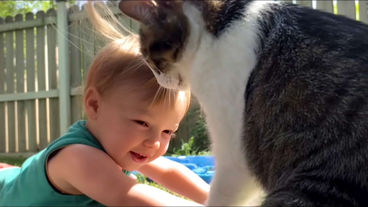 This Cat Has No Idea He's Not the Baby's Dad &mdash; And